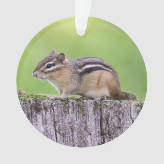 Eastern Chipmunk Ornament