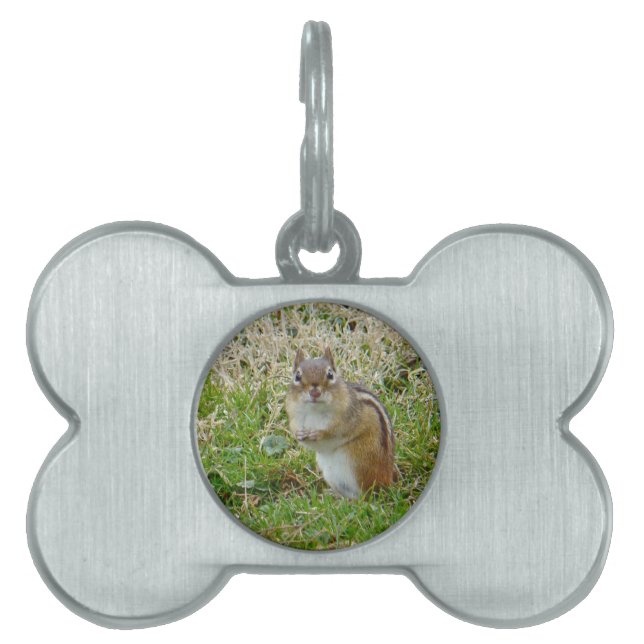 Eastern Chipmunk Pet Tag (Front)