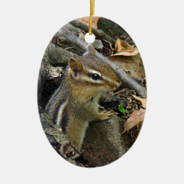 Eastern Chipmunk - Tamias striatus Ceramic Tree Decoration (Front)
