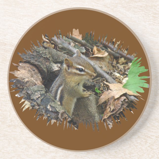 Eastern Chipmunk - Tamias striatus Coaster (Front)