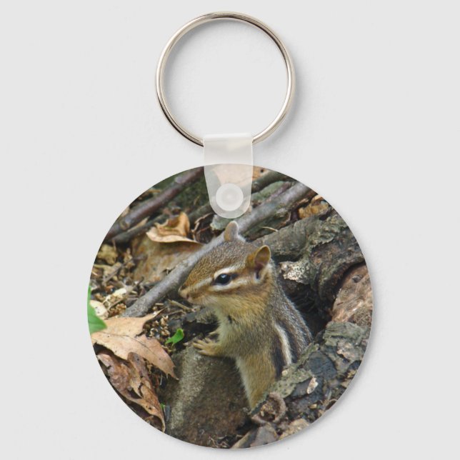 Eastern Chipmunk - Tamias striatus Key Ring (Front)