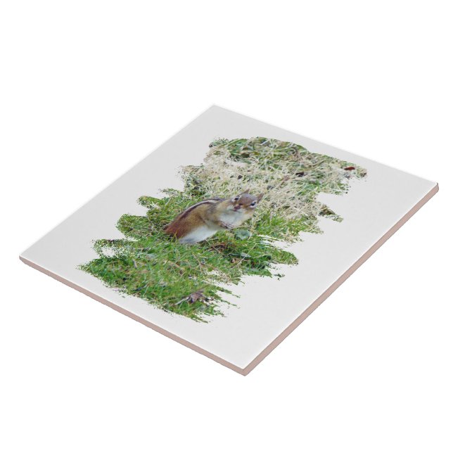 Eastern Chipmunk Tile (Side)