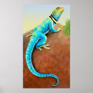Eastern Collared Lizard Poster