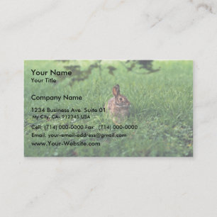 Eastern Cottontail Business Card