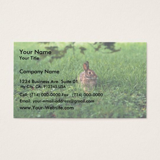 Eastern Cottontail Business Card