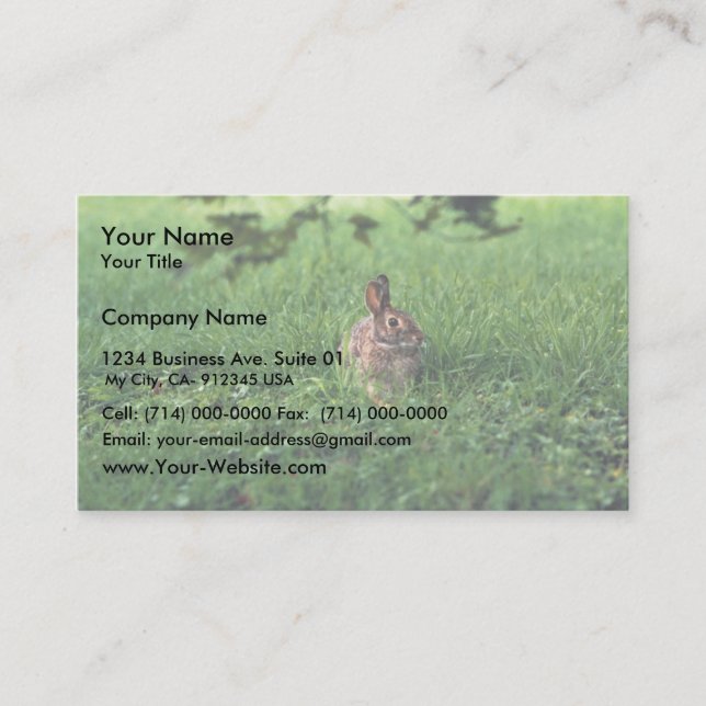 Eastern Cottontail Business Card (Front)