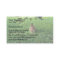 Eastern Cottontail