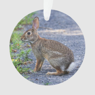Eastern Cottontail Ornament
