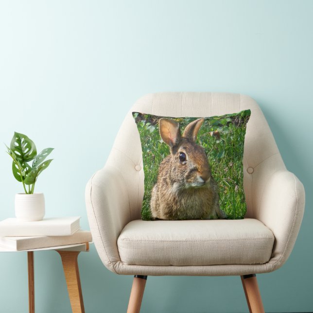 Eastern cottontail rabbit cushion (Chair)