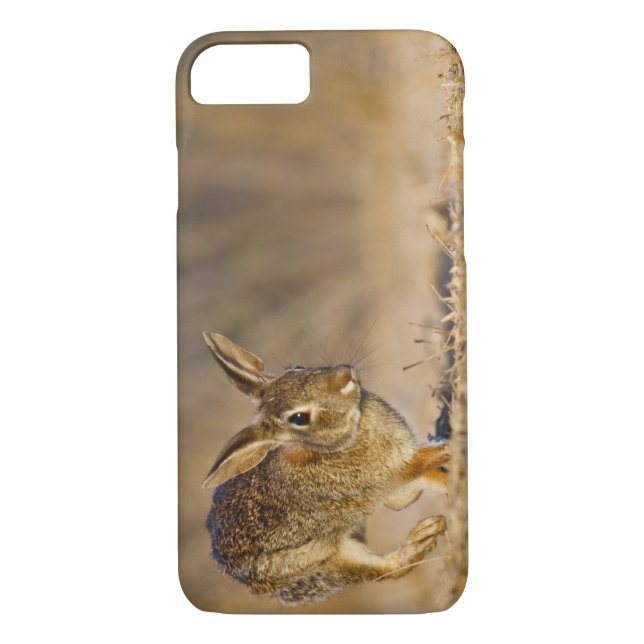 Eastern cottontail rabbit hopping Case-Mate iPhone case (Back)