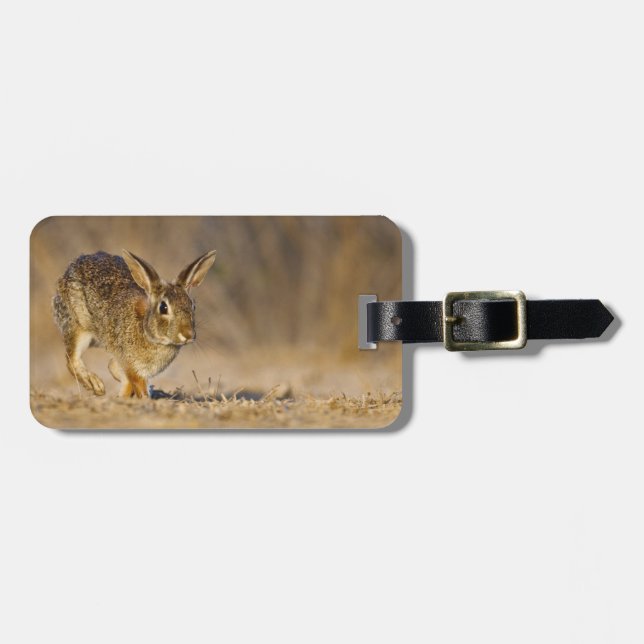 Eastern cottontail rabbit hopping luggage tag (Front Horizontal)