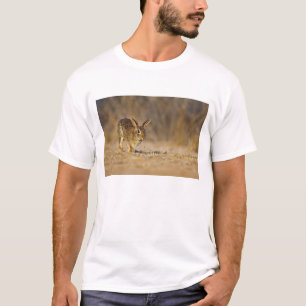Eastern cottontail rabbit hopping T-Shirt