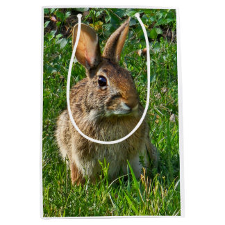Eastern cottontail rabbit medium gift bag