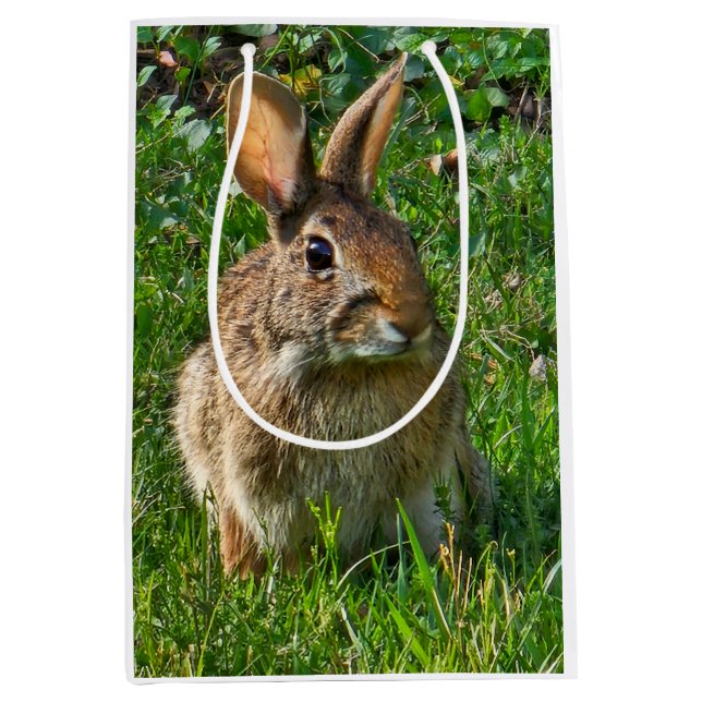 Eastern cottontail rabbit medium gift bag (Front)