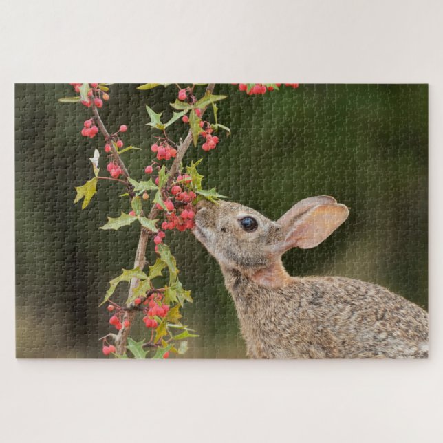 Eastern Cottontail | South Texas Jigsaw Puzzle (Horizontal)