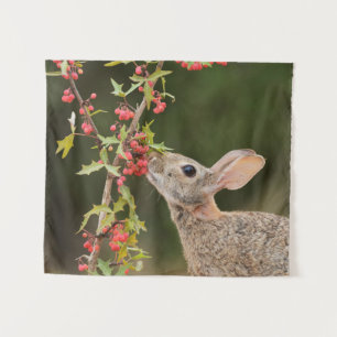 Eastern Cottontail   South Texas Tapestry