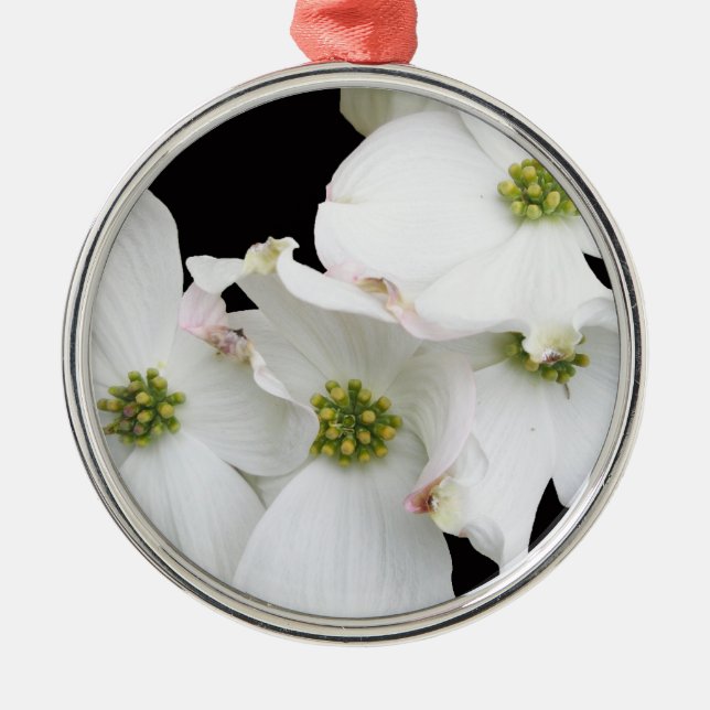 Eastern Dogwood Blossoms - Cornus florida Metal Tree Decoration (Front)