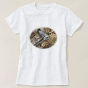Eastern Eyed Elater Click Beetle - Alaus oculatus T-Shirt