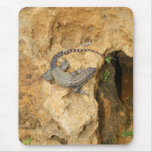 Eastern Fence Lizard Mouse Mat