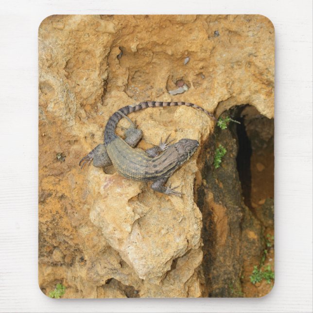 Eastern Fence Lizard Mouse Mat (Front)