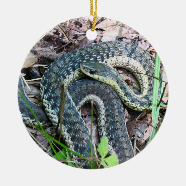 Eastern Garter Snake at Cape Cod Ceramic Tree Decoration (Front)