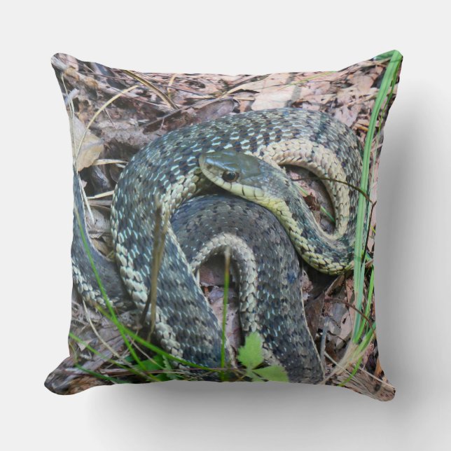 Eastern Garter Snake at Cape Cod Cushion (Front)