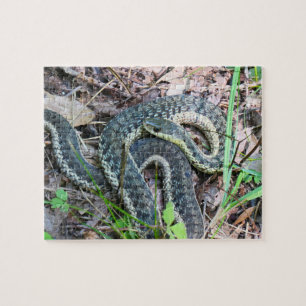 Eastern Garter Snake at Cape Cod Jigsaw Puzzle