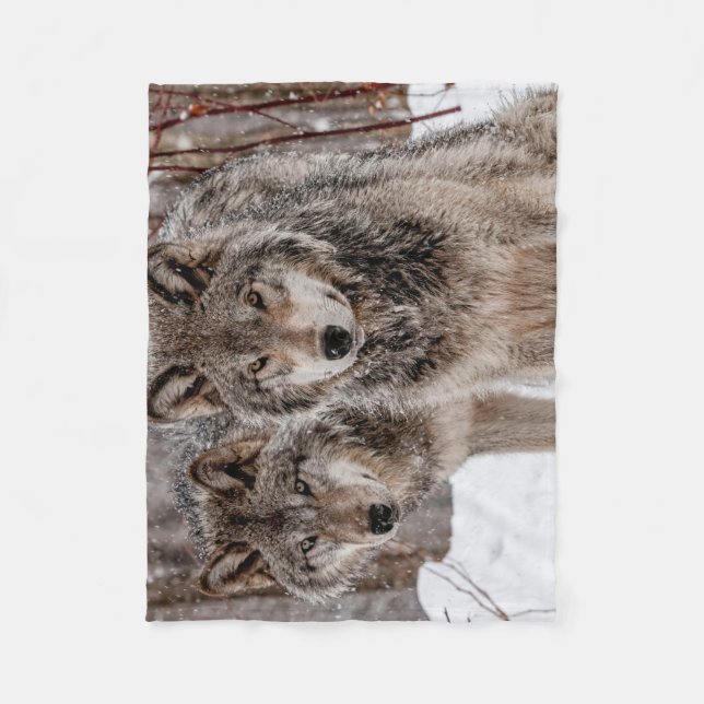 Eastern Gray Wolf  Fleece Blanket (Front)