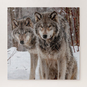 Eastern Gray Wolf  Jigsaw Puzzle