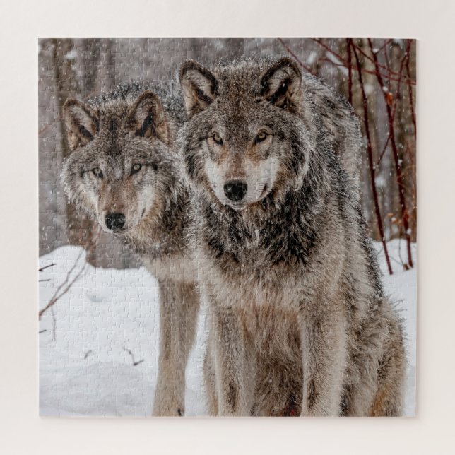 Eastern Gray Wolf  Jigsaw Puzzle (Vertical)