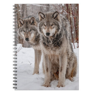 Eastern Gray Wolf Notebook