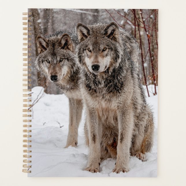 Eastern Gray Wolf Planner (Front)