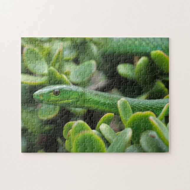 Eastern Green Mamba (Dendroaspis Angusticeps) Jigsaw Puzzle (Horizontal)