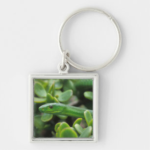 Eastern Green Mamba (Dendroaspis Angusticeps) Key Ring