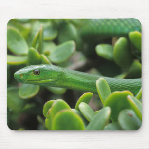 Eastern Green Mamba (Dendroaspis Angusticeps) Mouse Mat