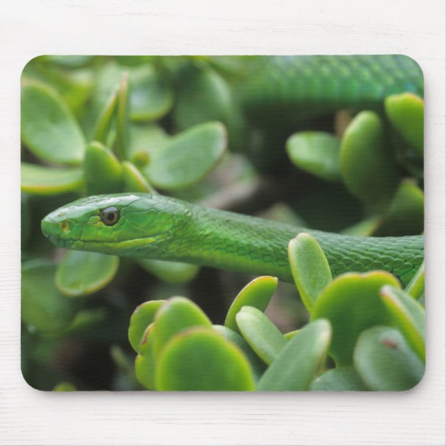 Eastern Green Mamba (Dendroaspis Angusticeps) Mouse Mat (Front)