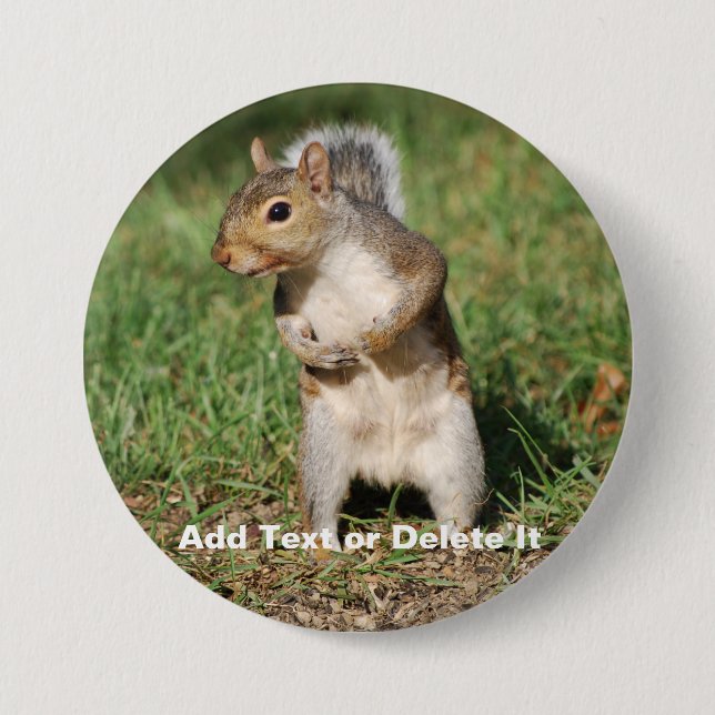 Eastern Grey Squirrel button (Front)