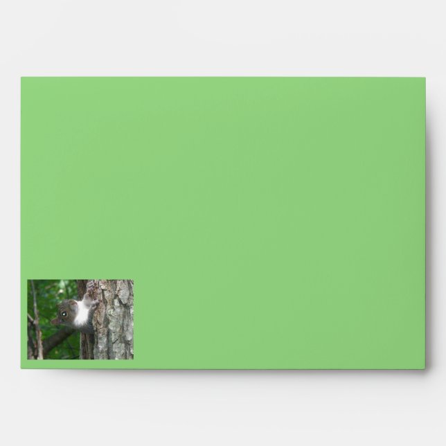 Eastern Grey Squirrel Items Envelope (Front)