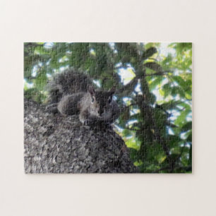 Eastern Grey Squirrel Posing in a Live Oak Tree Jigsaw Puzzle