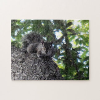 Eastern Grey Squirrel Posing in a Live Oak Tree Jigsaw Puzzle