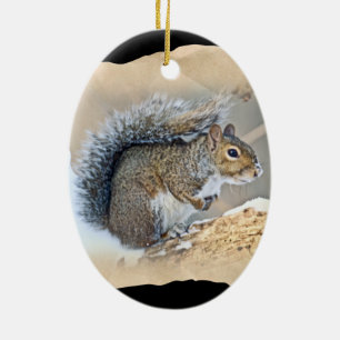 Eastern Grey Squirrel - Sciurus carolinensis Ceramic Tree Decoration