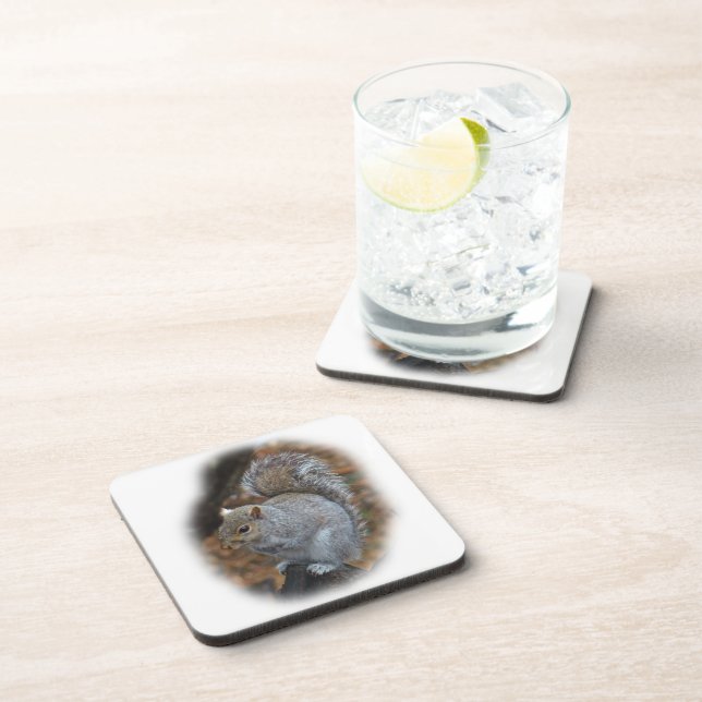Eastern Grey Squirrel - Sciurus carolinensis Coaster (Right Side)