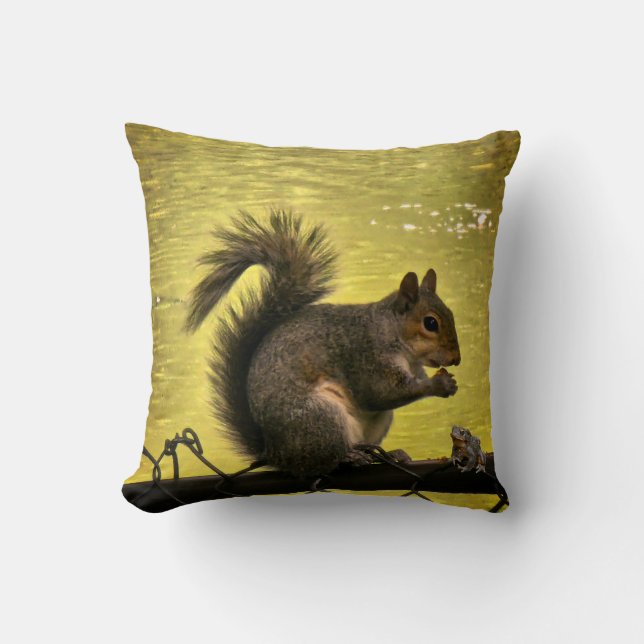 Eastern grey squirrel (Sciurus carolinensis)  Cushion (Front)