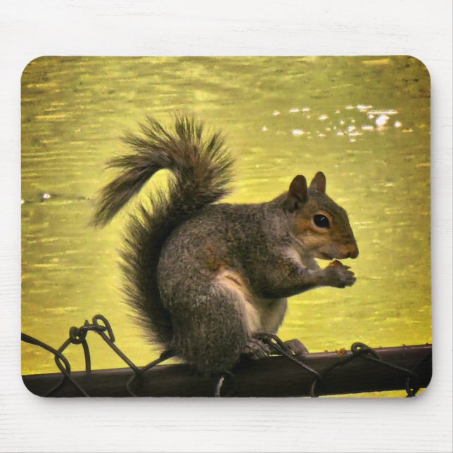 Eastern grey squirrel (Sciurus carolinensis)  Mouse Mat (Front)