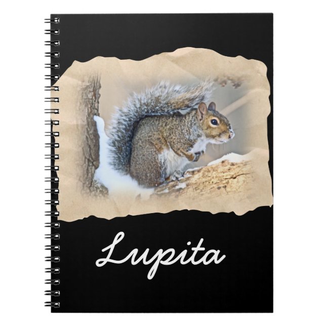 Eastern Grey Squirrel - Sciurus carolinensis Notebook (Front)