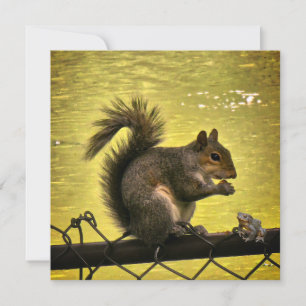 Eastern grey squirrel (Sciurus carolinensis) Save The Date