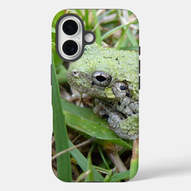 Eastern Grey Treefrog Nature Photography Case-Mate iPhone Case (Back)