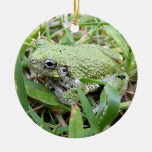 Eastern Grey Treefrog Nature Photography Ceramic Tree Decoration