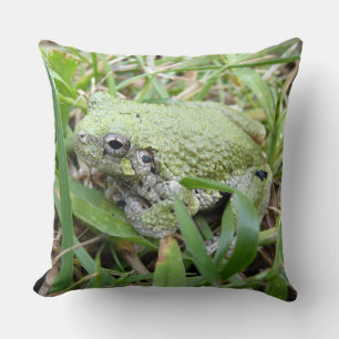 Eastern Grey Treefrog Nature Photography Cushion