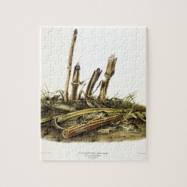 Eastern Harvest Mouse or Little Harvest Mouse Jigsaw Puzzle (Vertical)
